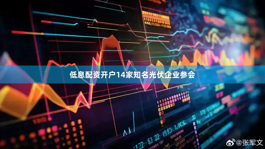 低息配资开户14家知名光伏企业参会
