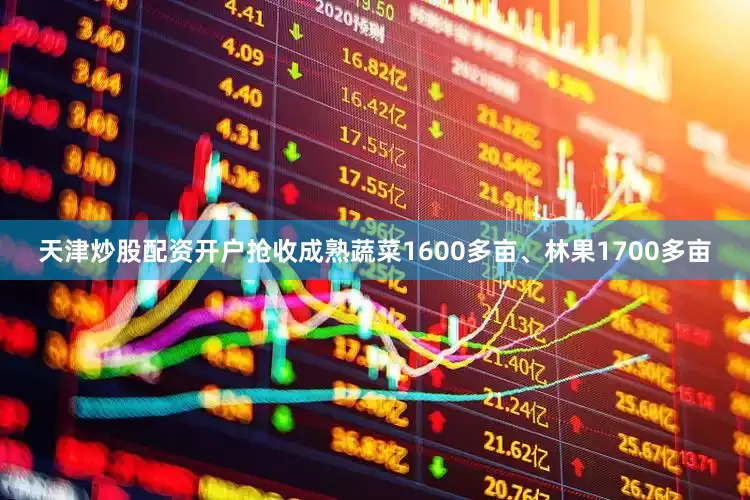 天津炒股配资开户抢收成熟蔬菜1600多亩、林果1700多亩