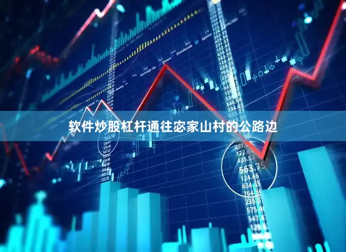 软件炒股杠杆通往宓家山村的公路边